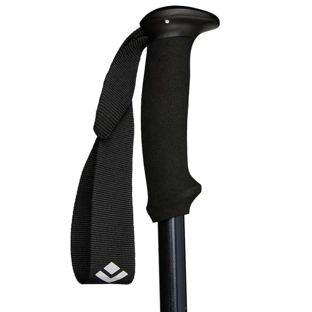 Hiking & Trekking Poles>Black Diamond Explorer 2 Trekking Poles