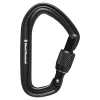 Carabiners>Black Diamond Hotforge Screwgate Carabiner